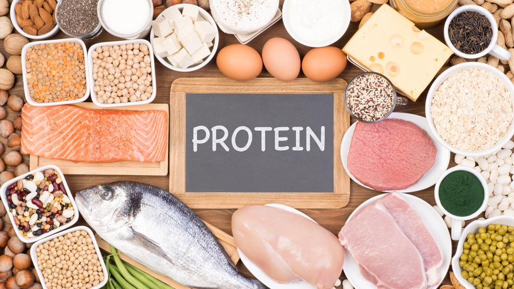栄養管理とタンパク質の役割