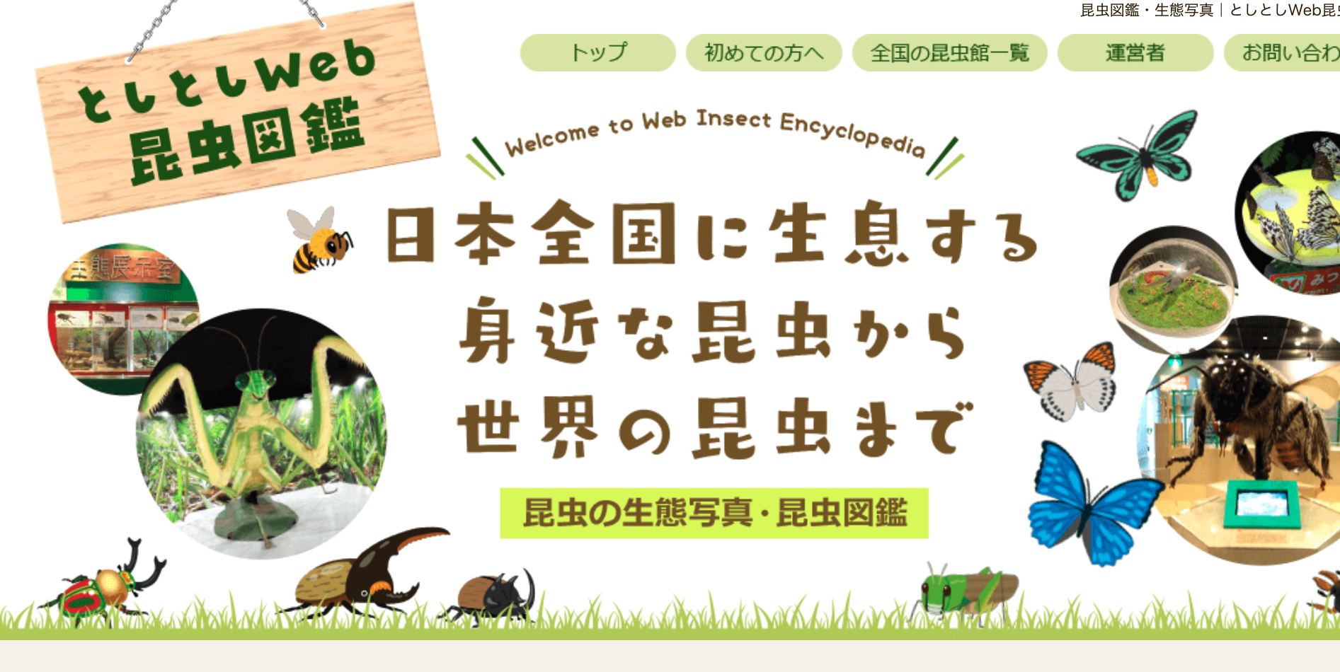 としとしWeb昆虫図鑑 
