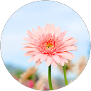 もり profile picture